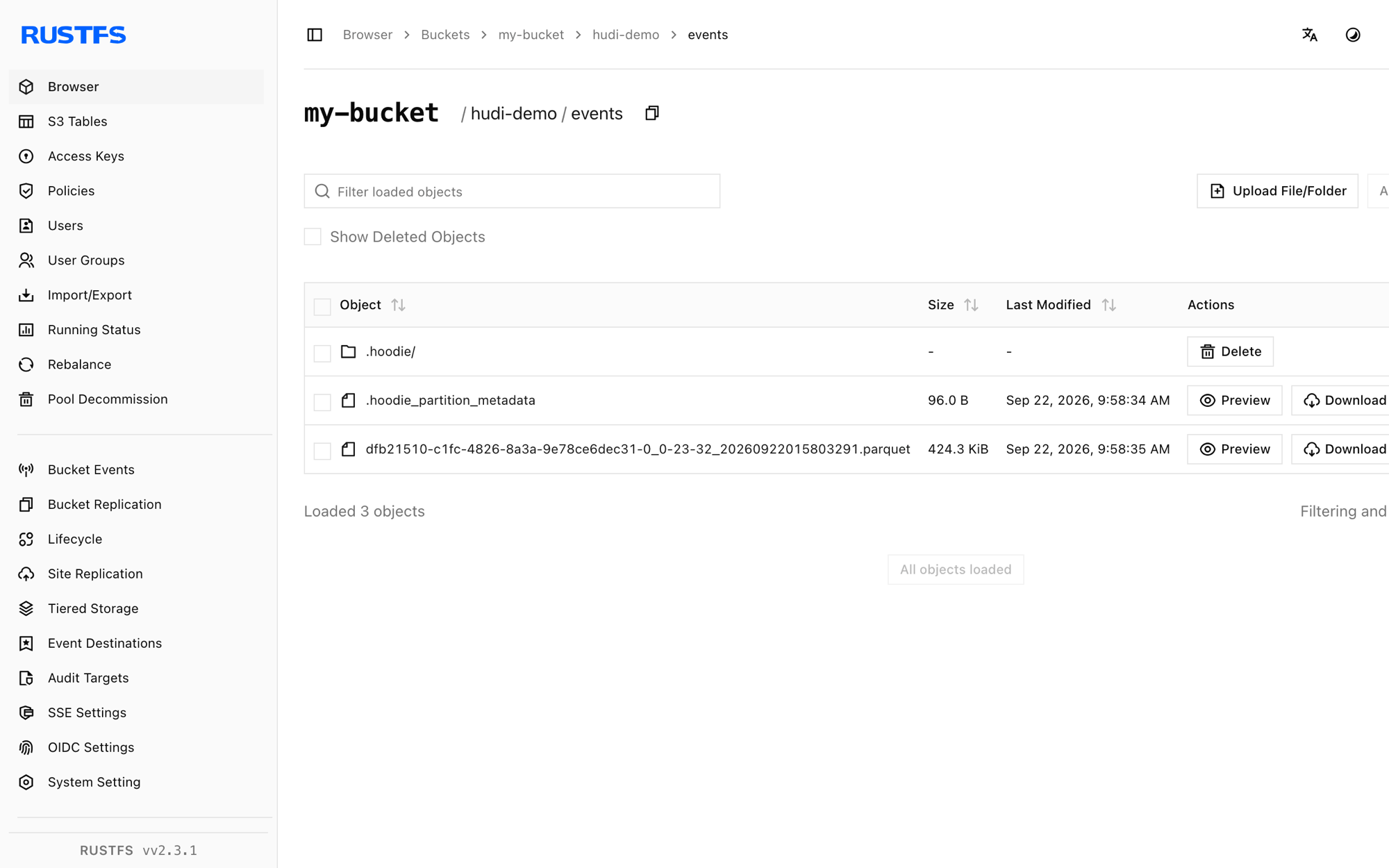Hudi table files stored in the RustFS Console